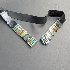 Reversible Stretchy Metallic Belt